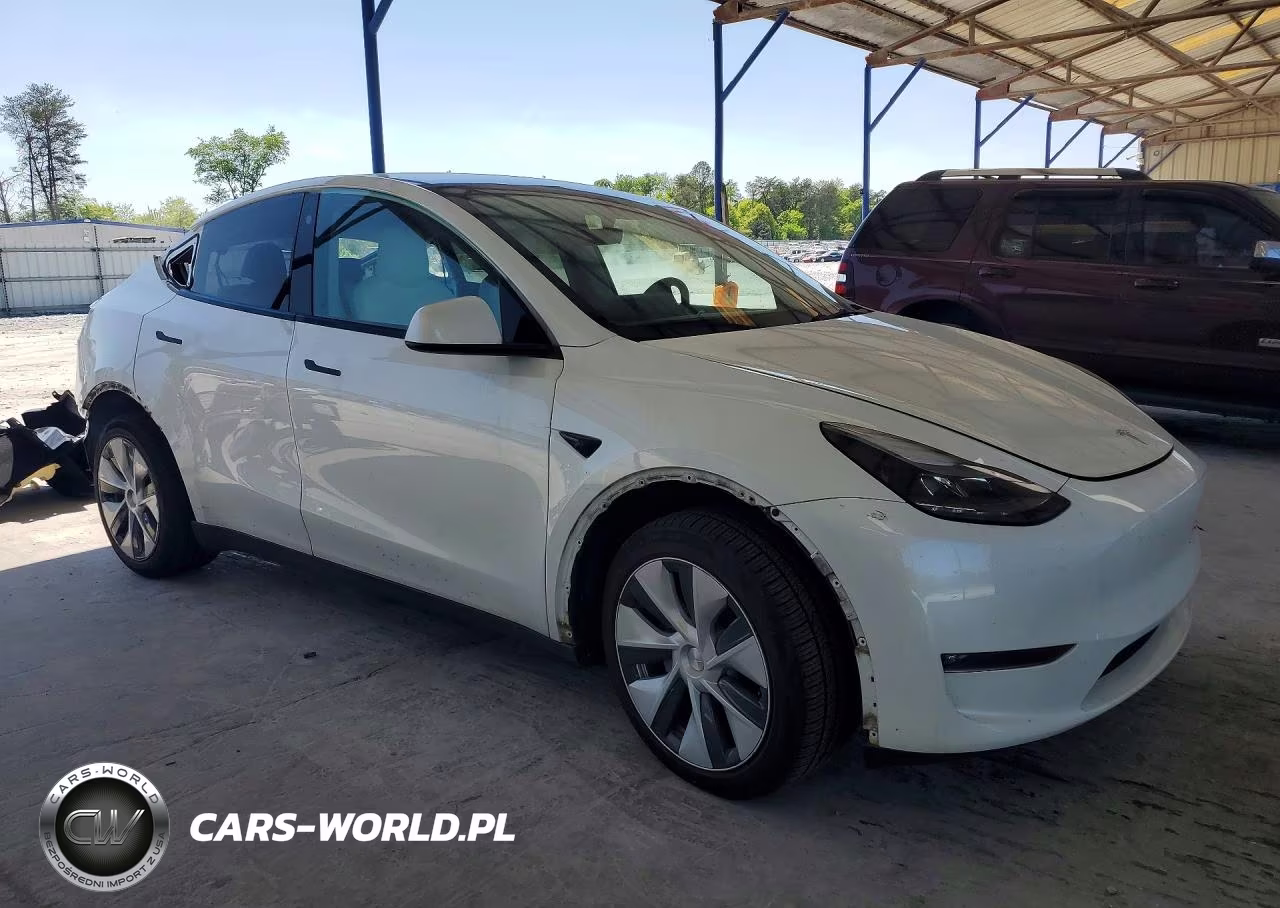 2023 Tesla Model Y VIN:7SAYGDEE6PF636317 - 4