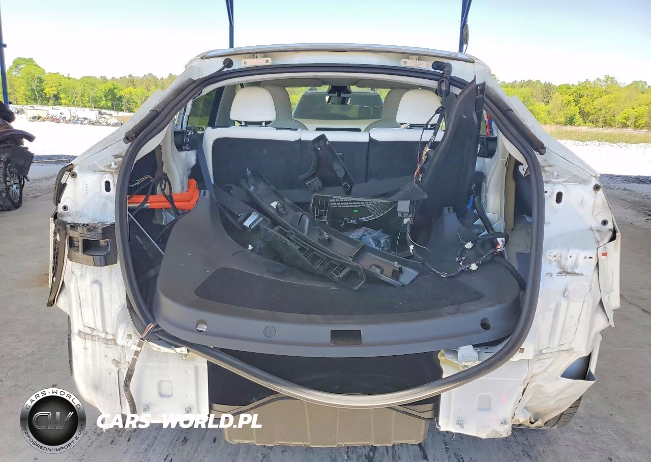 2023 Tesla Model Y VIN:7SAYGDEE6PF636317 - 6