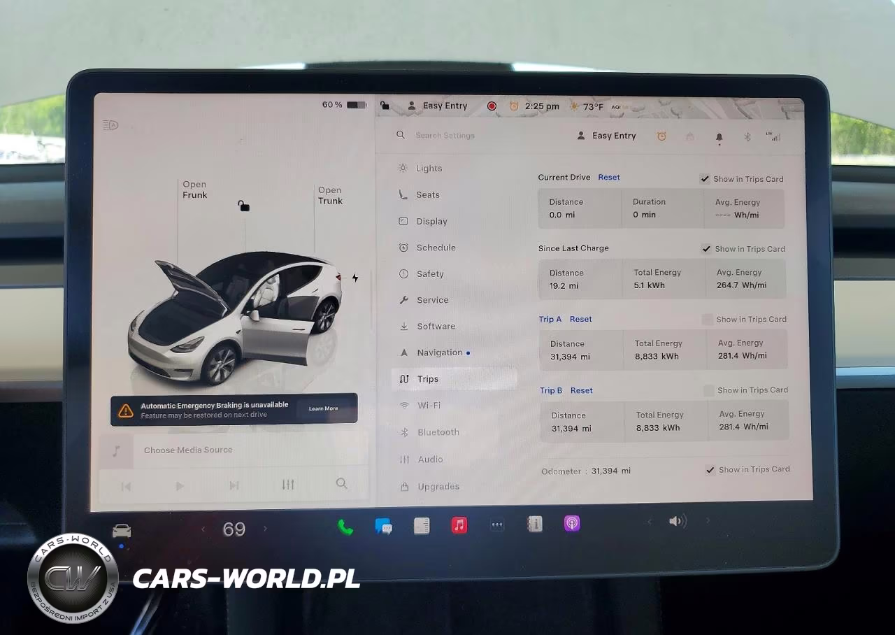 2023 Tesla Model Y VIN:7SAYGDEE6PF636317 - 9