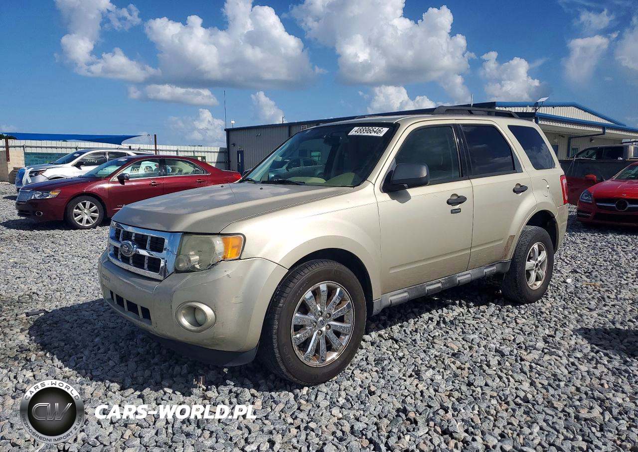 2011 Ford Escape Xlt