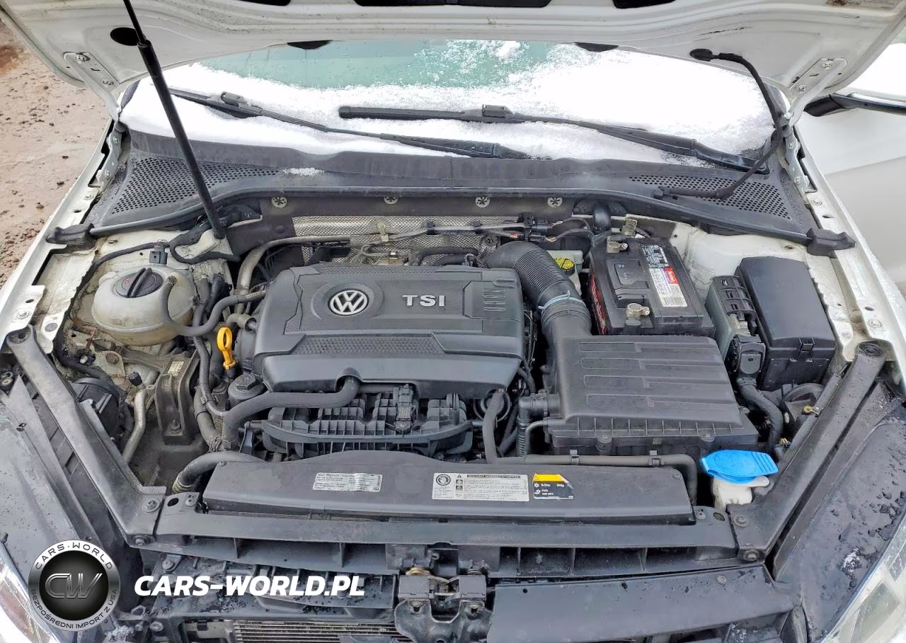 2016 Volkswagen Golf Sportwagen S VIN:3VWC17AUXGM517427 - 11