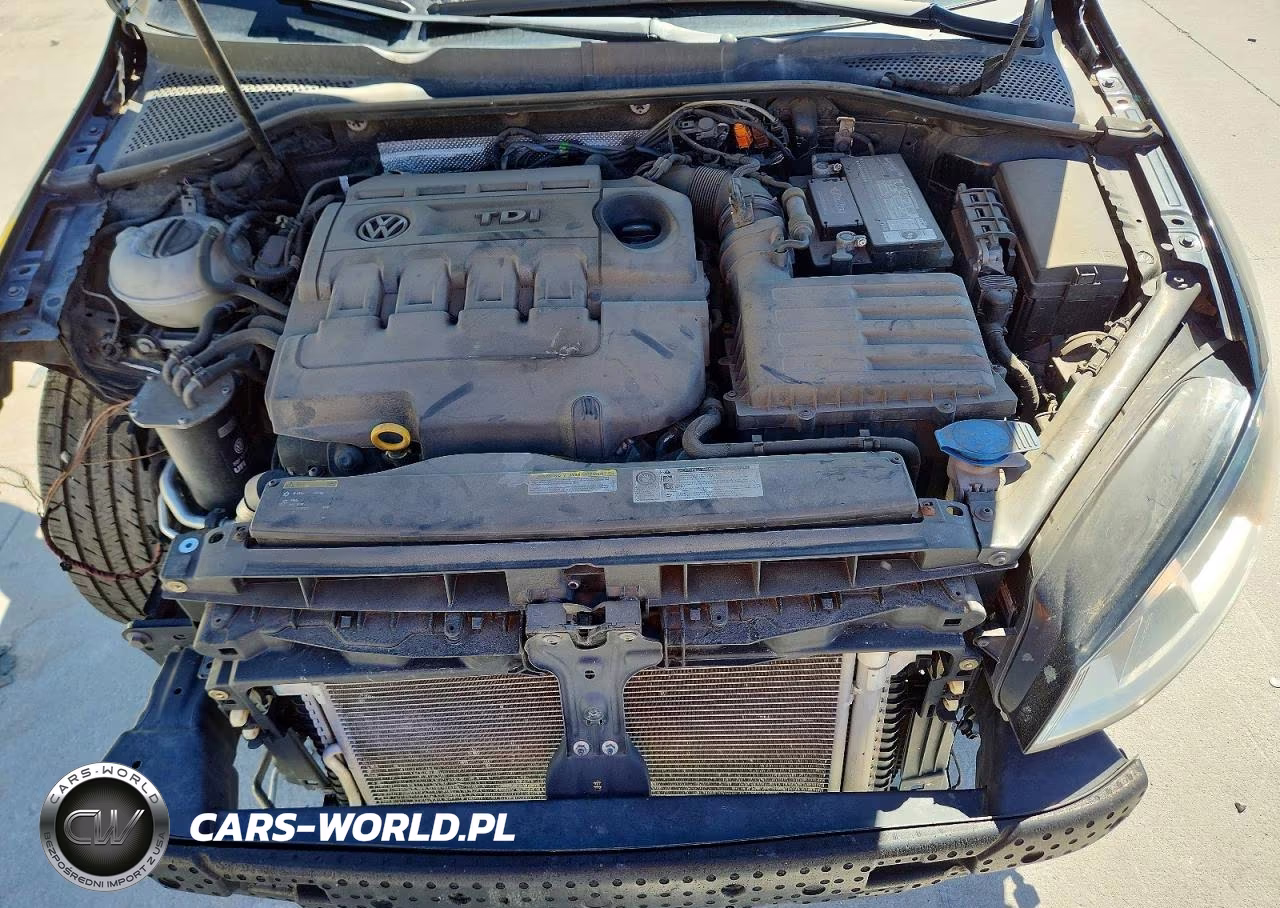 2015 Volkswagen Golf Tdi VIN:3VW2A7AUXFM018900 - 11