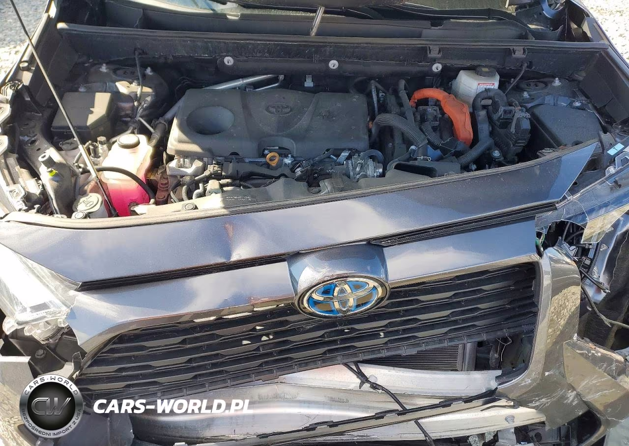 2024 Toyota Rav4 Hybrid Xle VIN:4T3RWRFVXRU137761 - 12