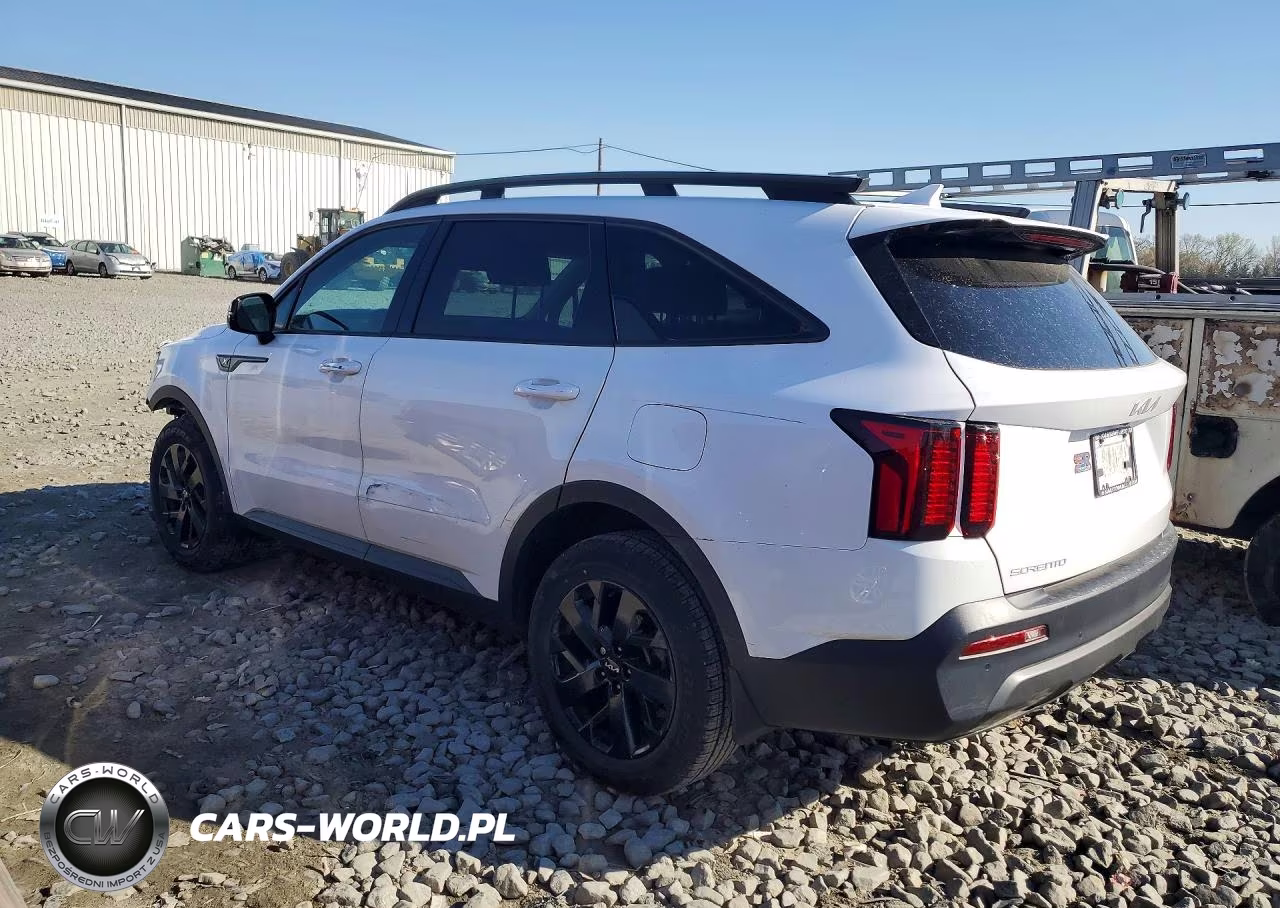 2023 Kia Sorento X-Line S VIN:5XYRLDLC0PG197106 - 2