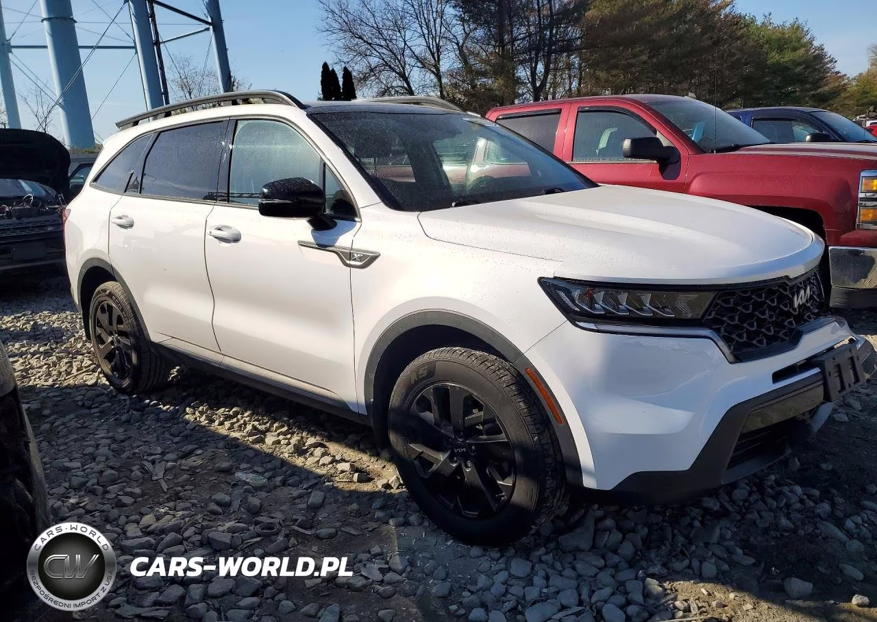 2023 Kia Sorento X-Line S VIN:5XYRLDLC0PG197106 - 4