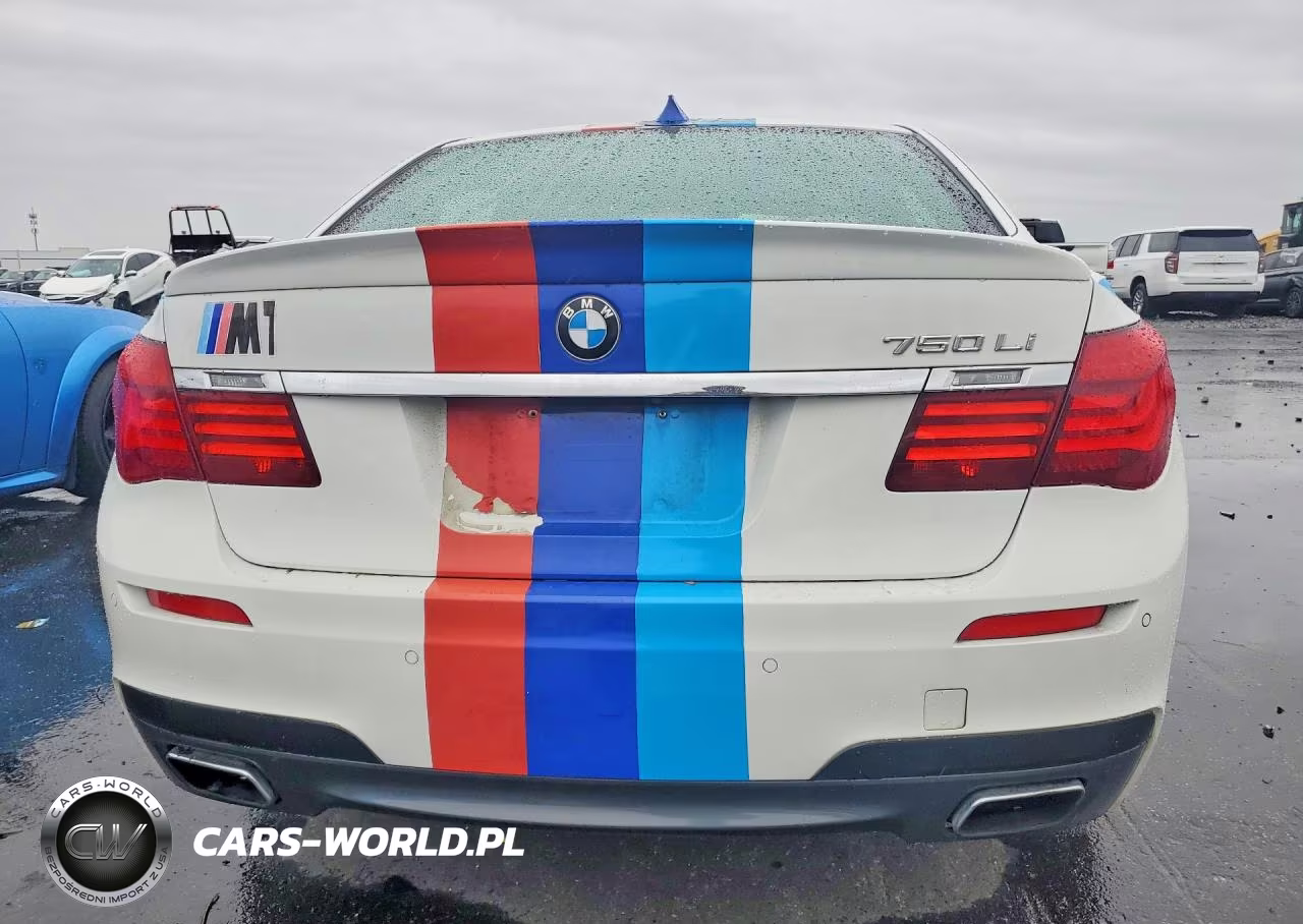 2013 BMW 750 Li VIN:WBAYE8C59DD132115 - 6