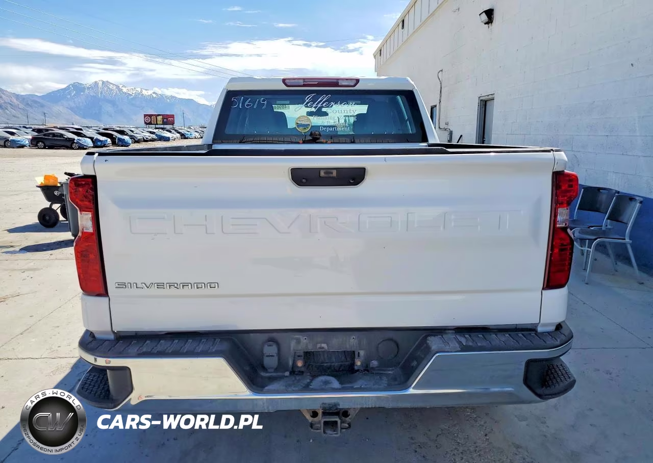 2019 Chevrolet Silverado K1500 VIN:1GCPYAEH9KZ248855 - 6