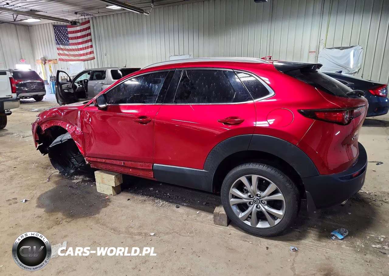 2021 Mazda Cx-30 Premium VIN:3MVDMADM5MM228862 - 2