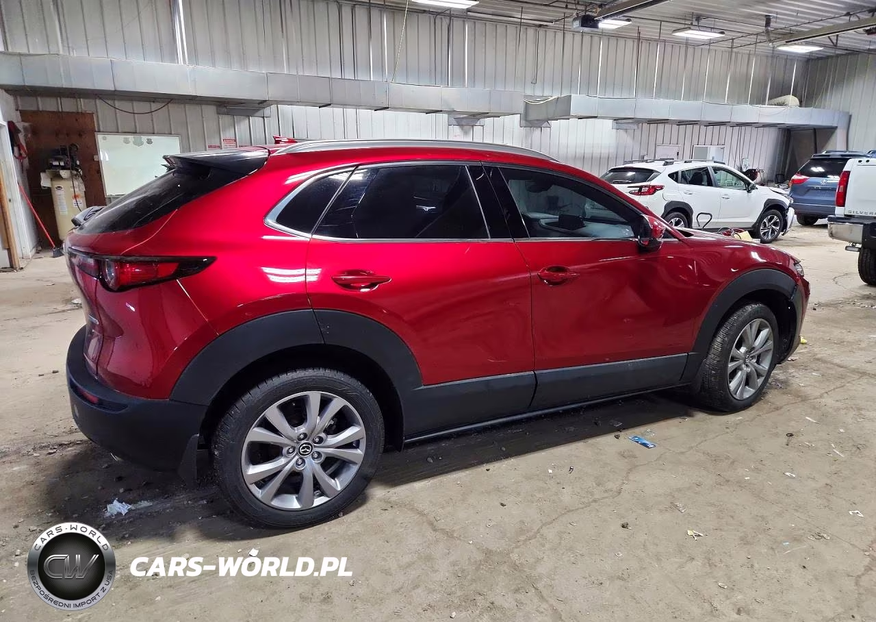2021 Mazda Cx-30 Premium VIN:3MVDMADM5MM228862 - 3