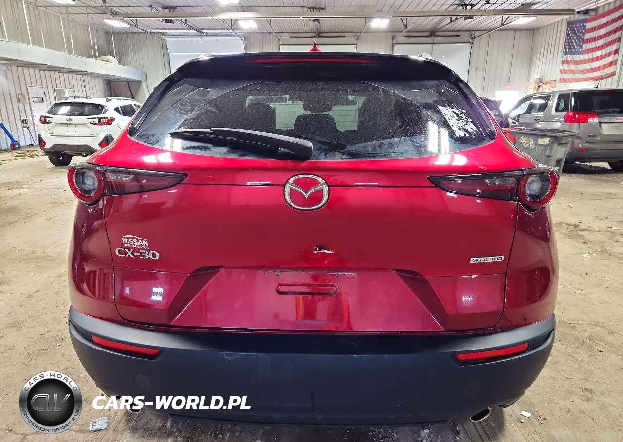 2021 Mazda Cx-30 Premium VIN:3MVDMADM5MM228862 - 6