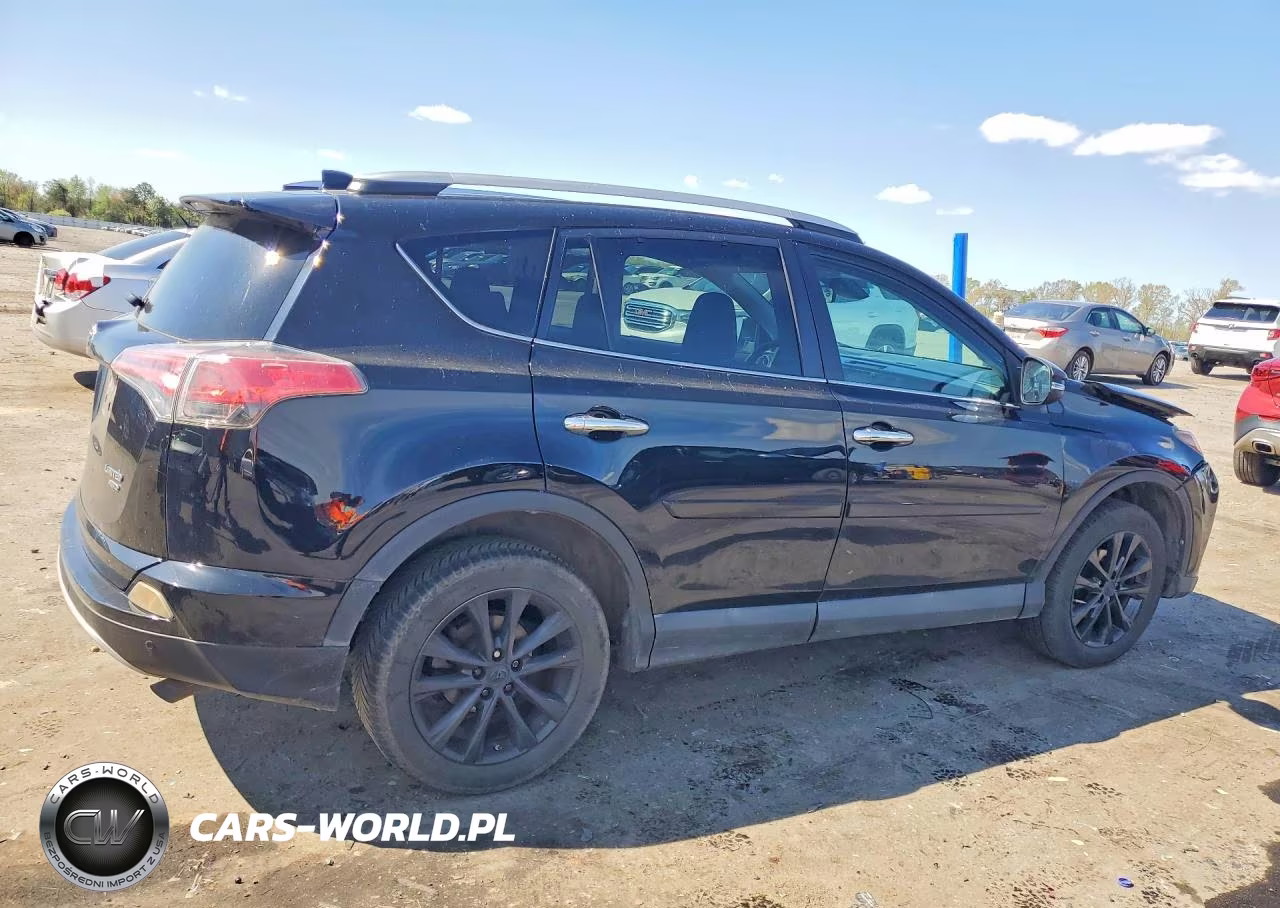 2016 Toyota Rav4 VIN:2T3DFREV4GW519504 - 3