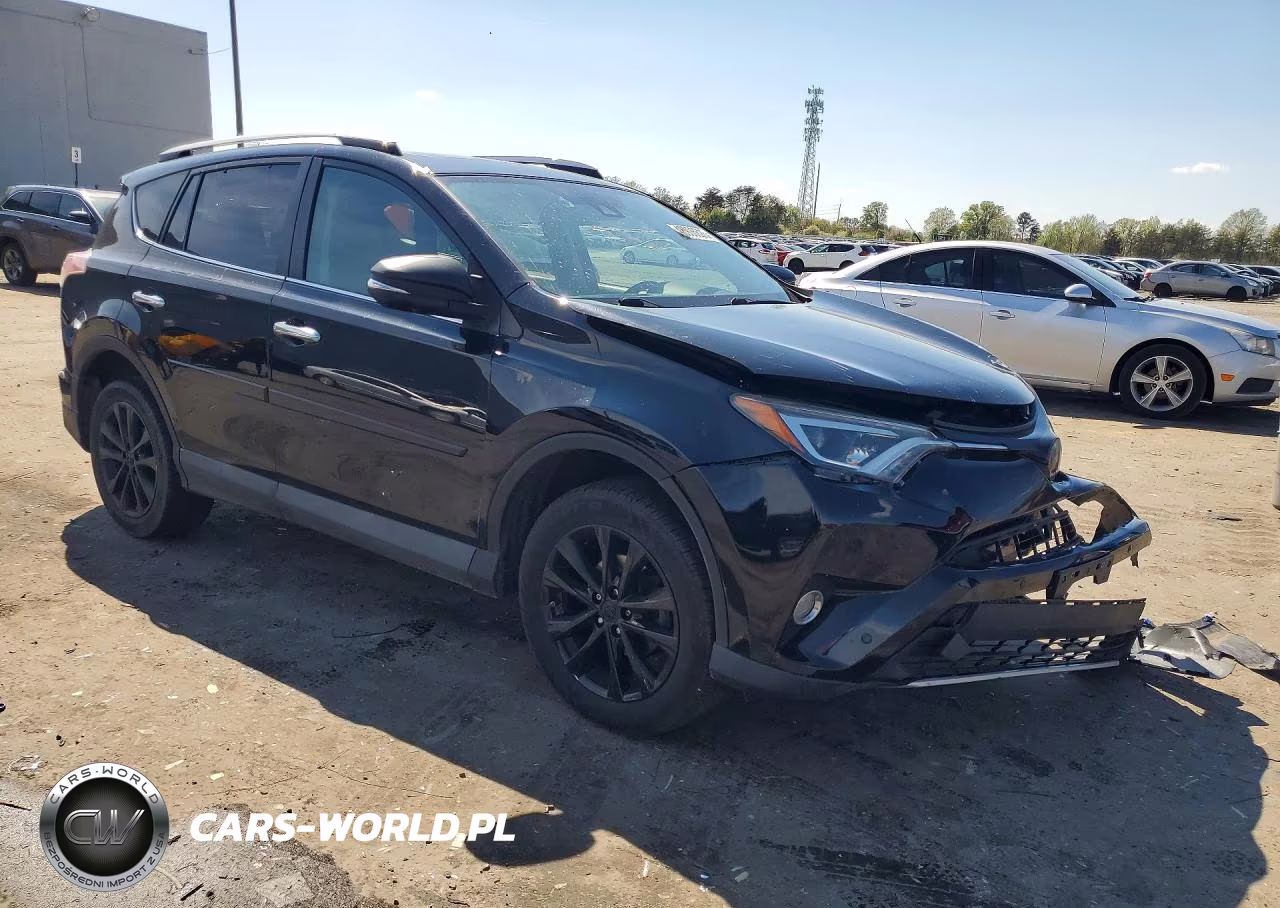 2016 Toyota Rav4 VIN:2T3DFREV4GW519504 - 4