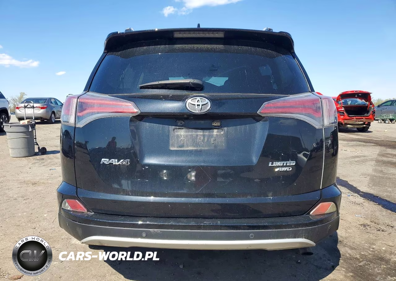 2016 Toyota Rav4 VIN:2T3DFREV4GW519504 - 6