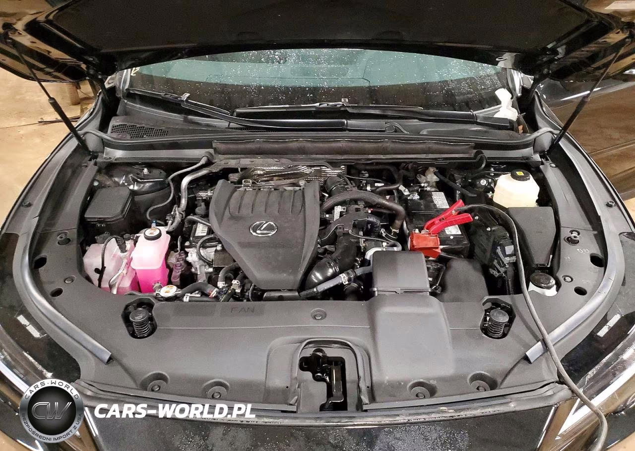 2025 Lexus Rx 350 Premium VIN:2T2BAMCA8SC094263 - 12