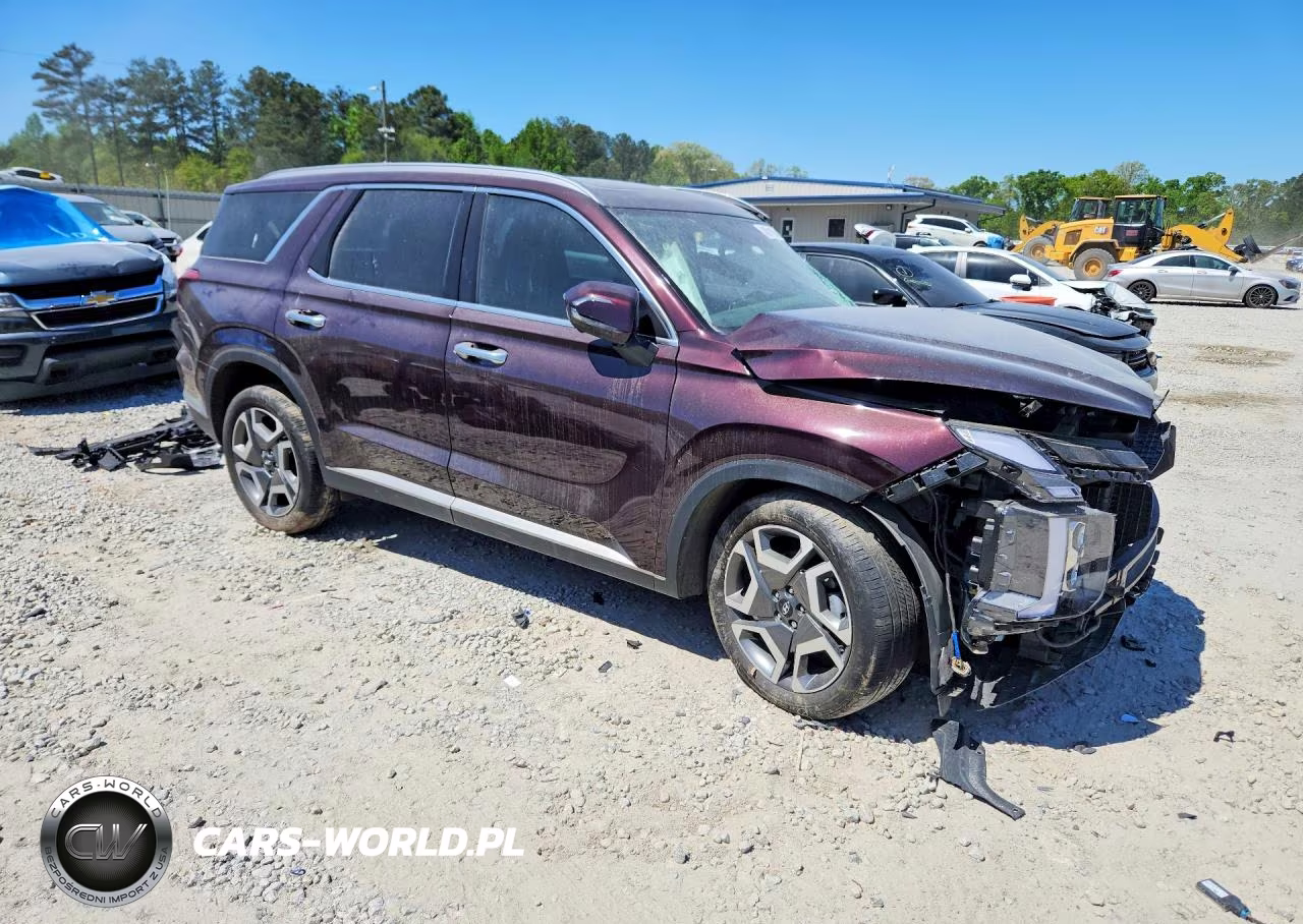 2023 Hyundai Palisade Limited VIN:KM8R5DGE5PU584833 - 4