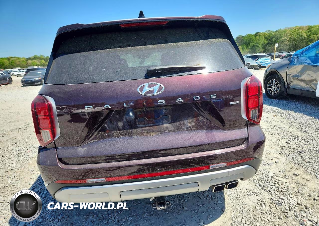 2023 Hyundai Palisade Limited VIN:KM8R5DGE5PU584833 - 6