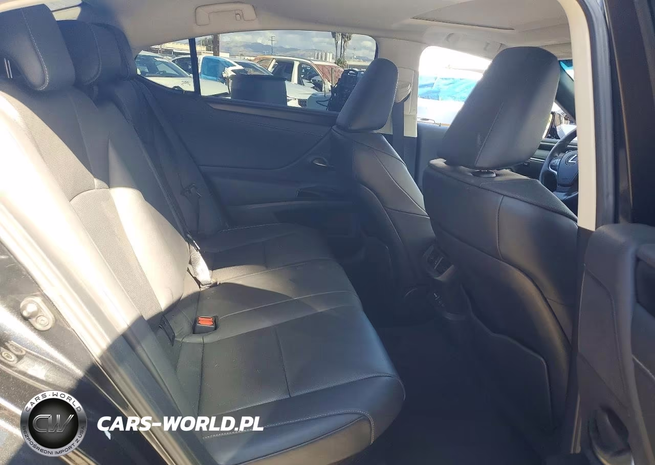 2024 Lexus Es 300H Base VIN:58ADA1C10RU044521 - 10