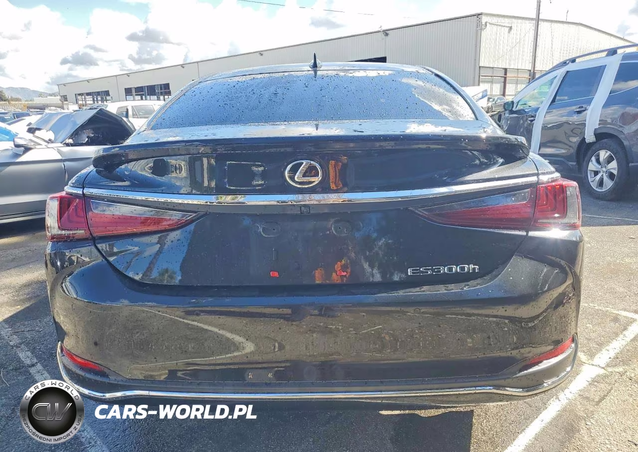 2024 Lexus Es 300H Base VIN:58ADA1C10RU044521 - 6