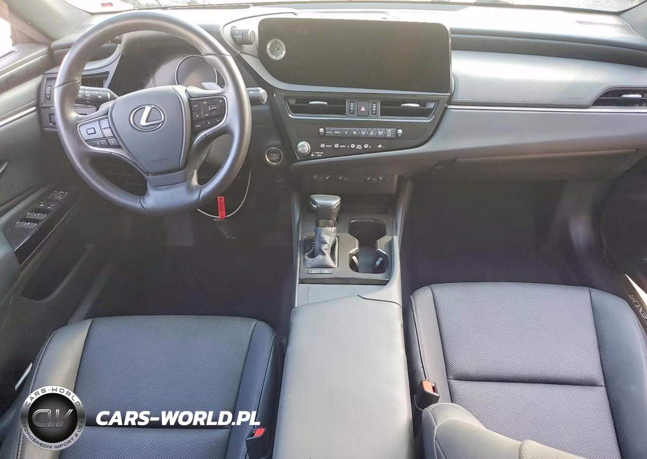 2024 Lexus Es 300H Base VIN:58ADA1C10RU044521 - 8