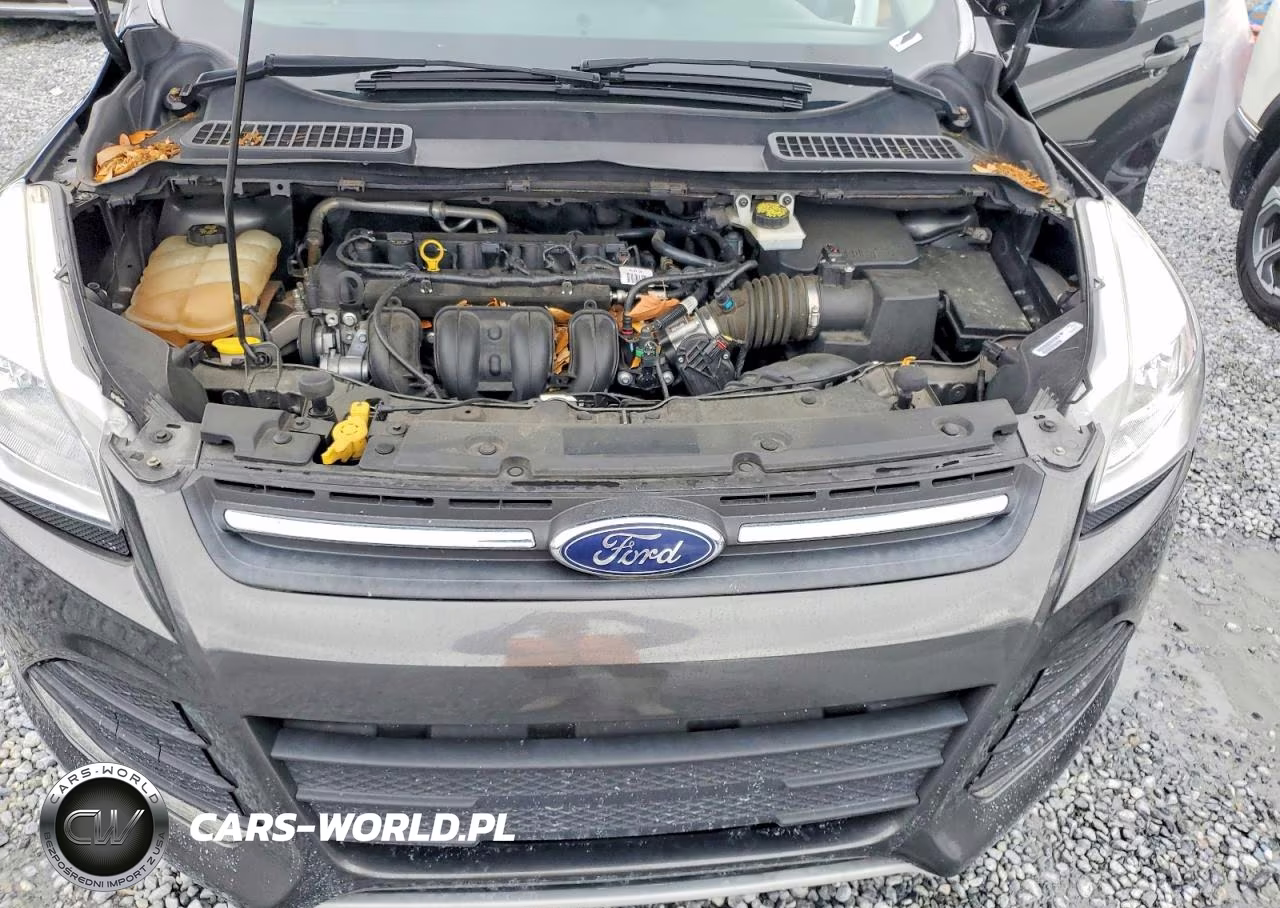 2016 Ford Escape Se VIN:1FMCU0G77GUB66907 - 12