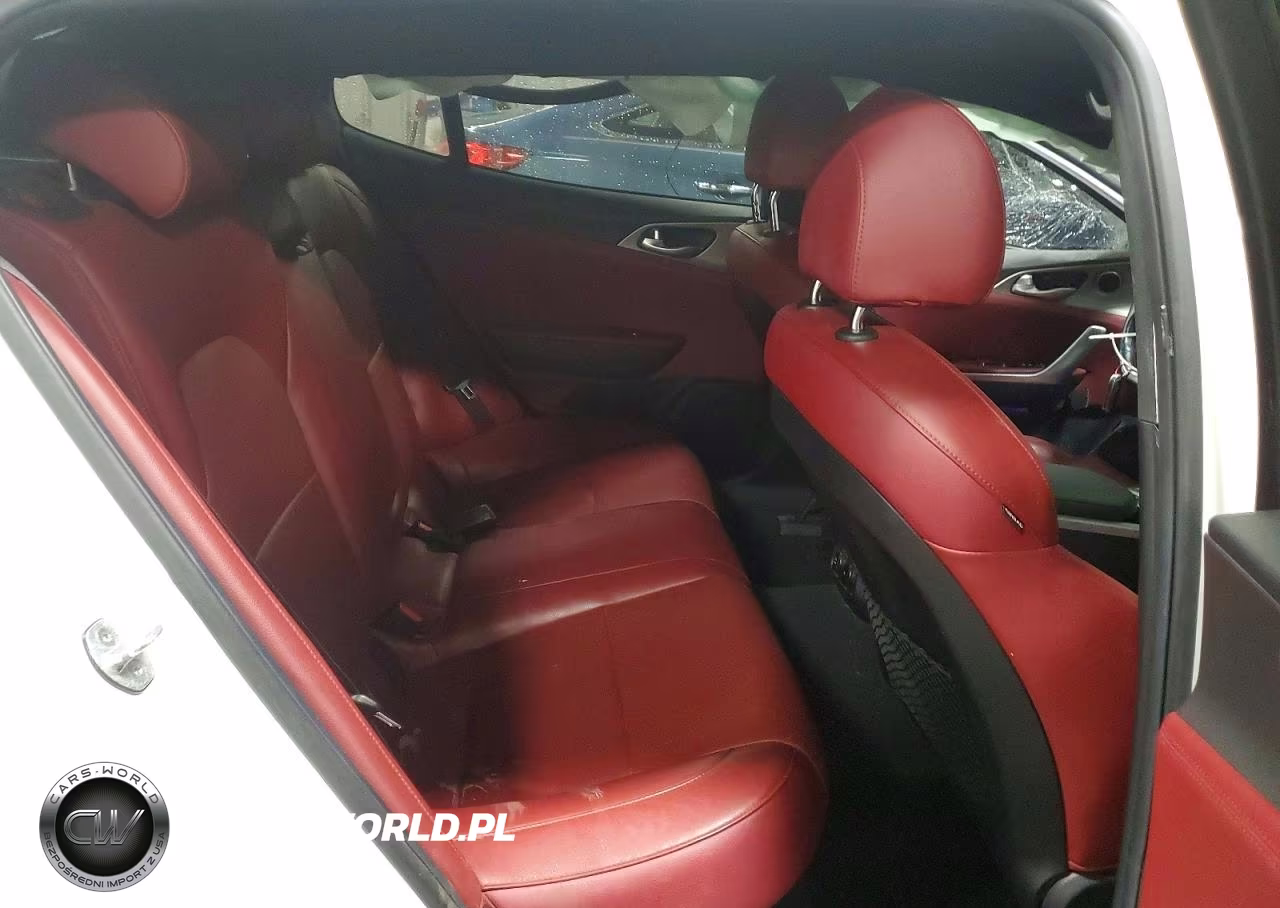 2020 Kia Stinger Gt VIN:KNAE35LC3L6078383 - 10