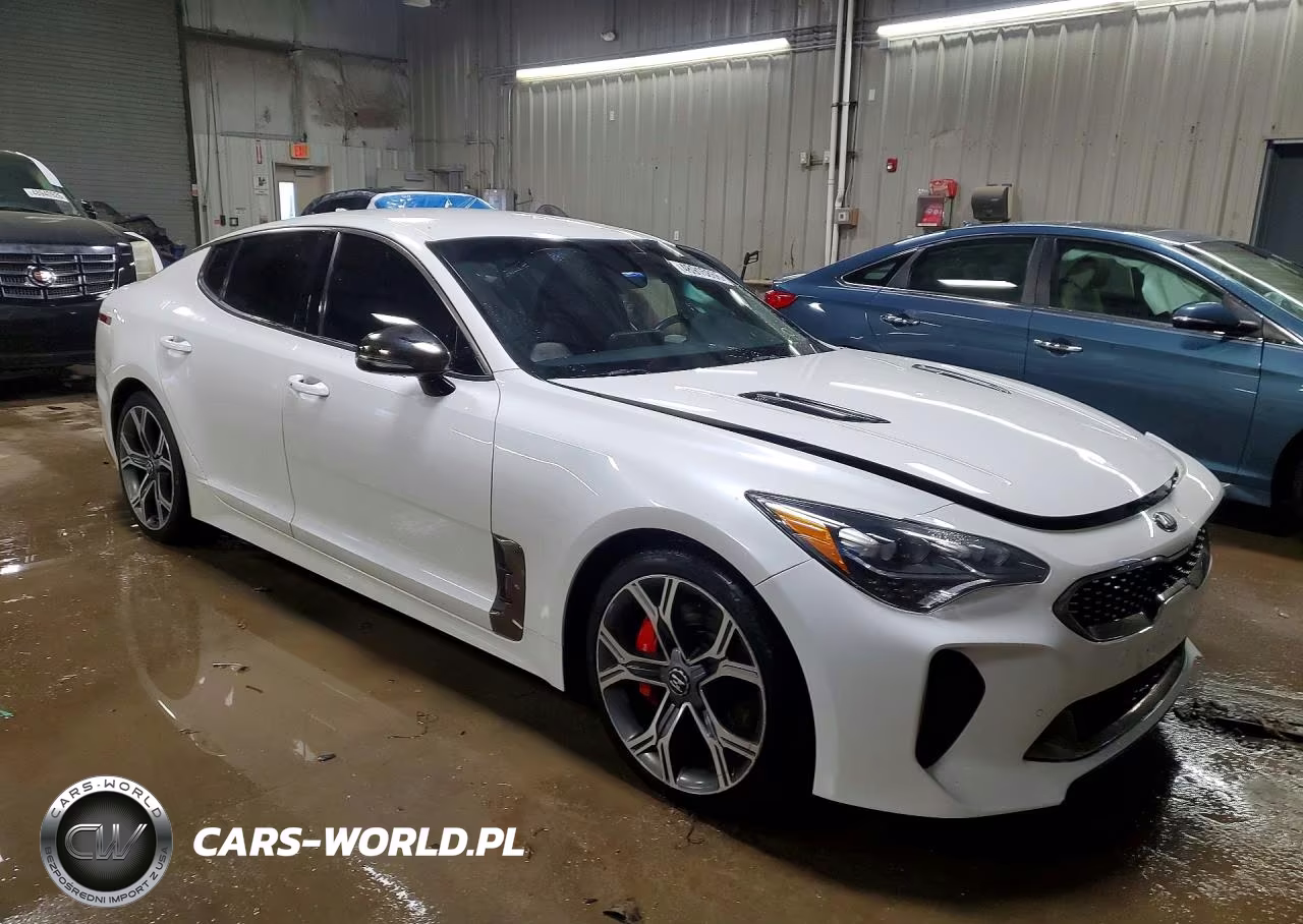 2020 Kia Stinger Gt VIN:KNAE35LC3L6078383 - 4