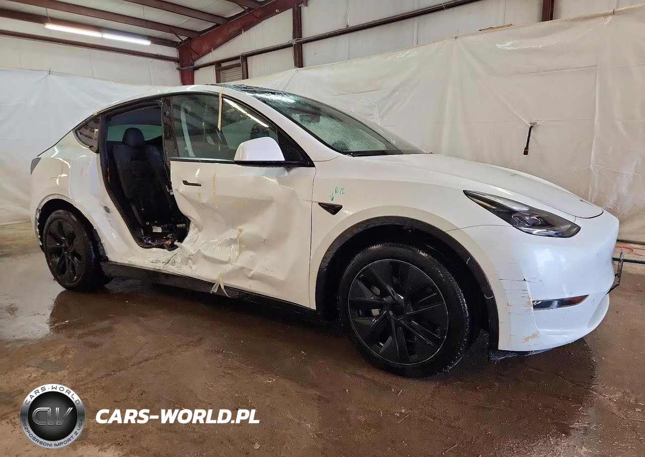 2024 Tesla Model Y VIN:7SAYGDEEXRA307412 - 4