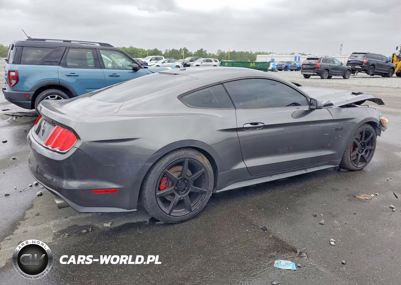 2015 Ford Mustang Gt VIN:1FA6P8CF3F5319186 - 3