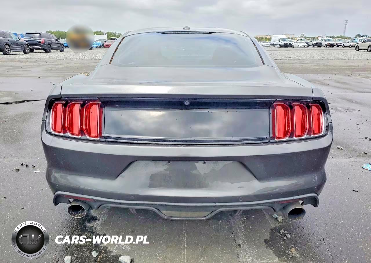 2015 Ford Mustang Gt VIN:1FA6P8CF3F5319186 - 6