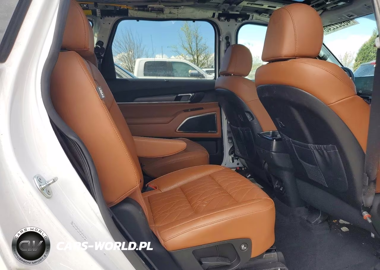 2024 Kia Telluride Sx-Prestige X-Pro VIN:5XYP5DGC6RG533078 - 11