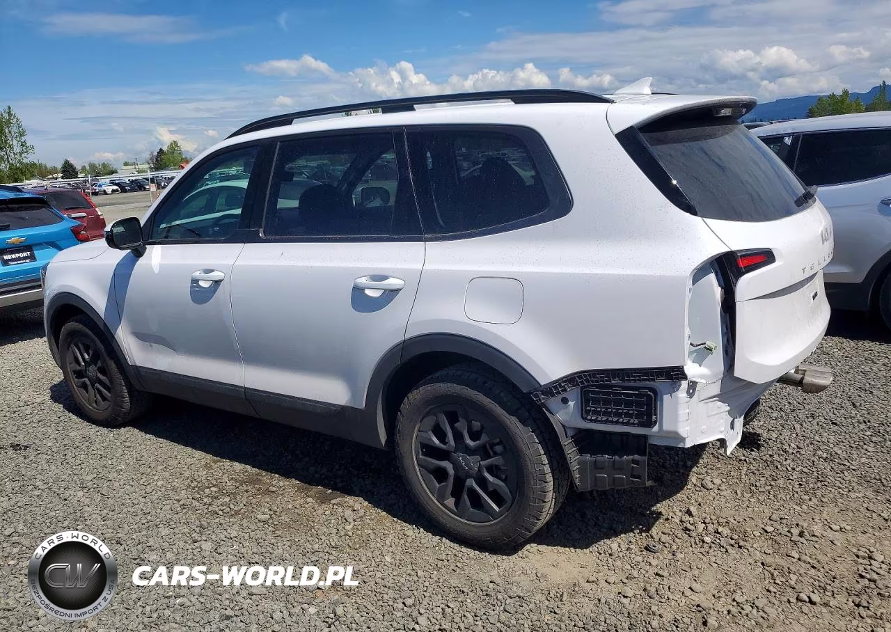 2024 Kia Telluride Sx-Prestige X-Pro VIN:5XYP5DGC6RG533078 - 2