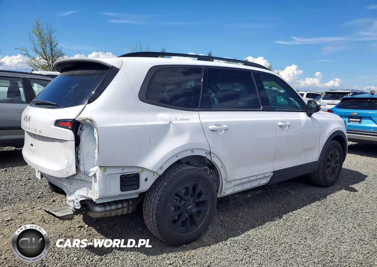 2024 Kia Telluride Sx-Prestige X-Pro VIN:5XYP5DGC6RG533078 - 3