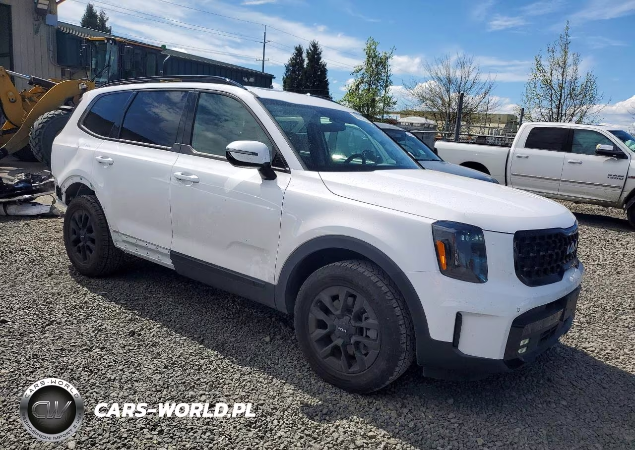 2024 Kia Telluride Sx-Prestige X-Pro VIN:5XYP5DGC6RG533078 - 4