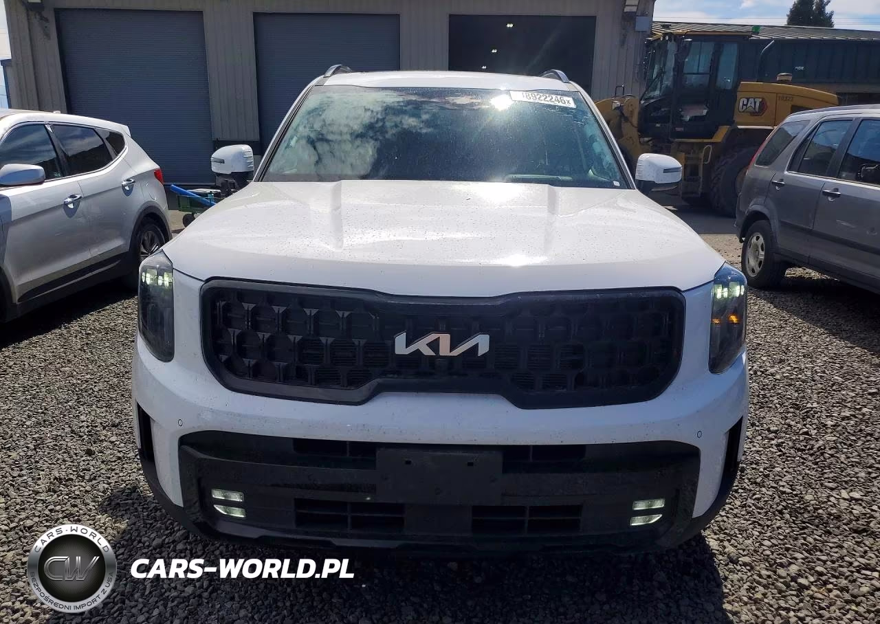 2024 Kia Telluride Sx-Prestige X-Pro VIN:5XYP5DGC6RG533078 - 5