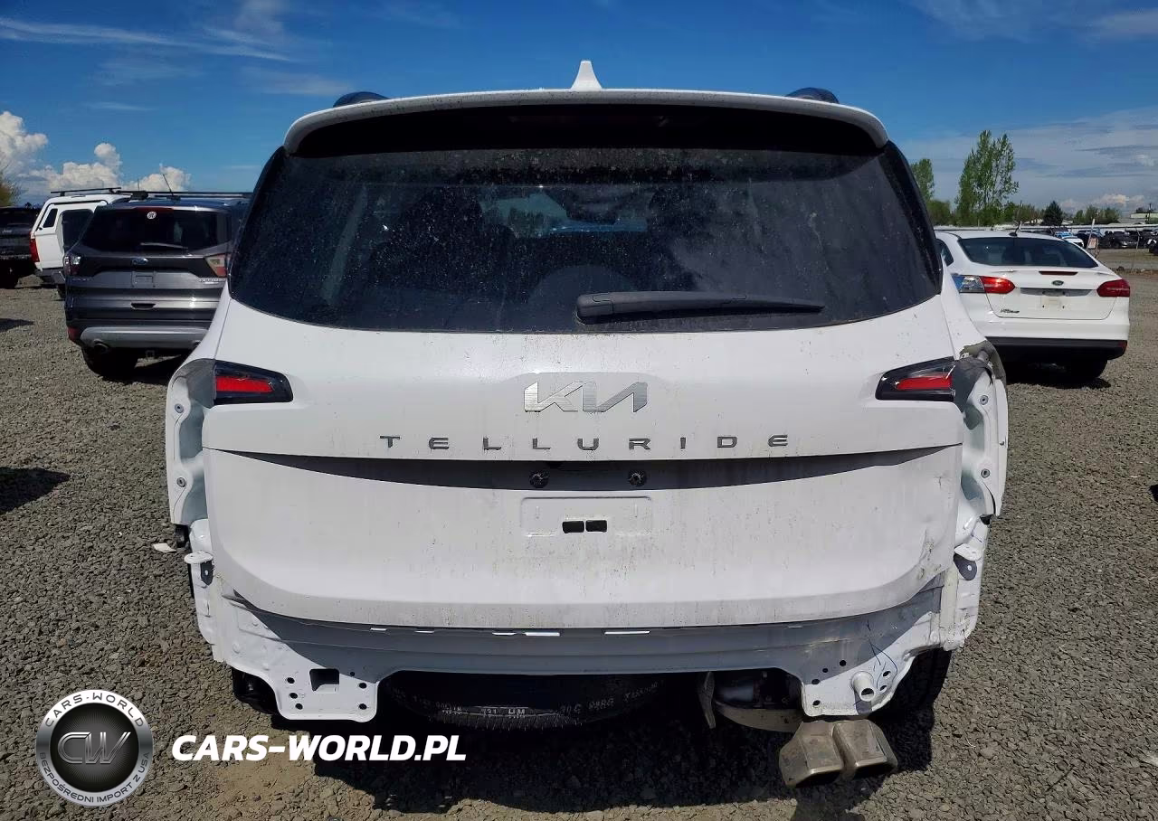 2024 Kia Telluride Sx-Prestige X-Pro VIN:5XYP5DGC6RG533078 - 6