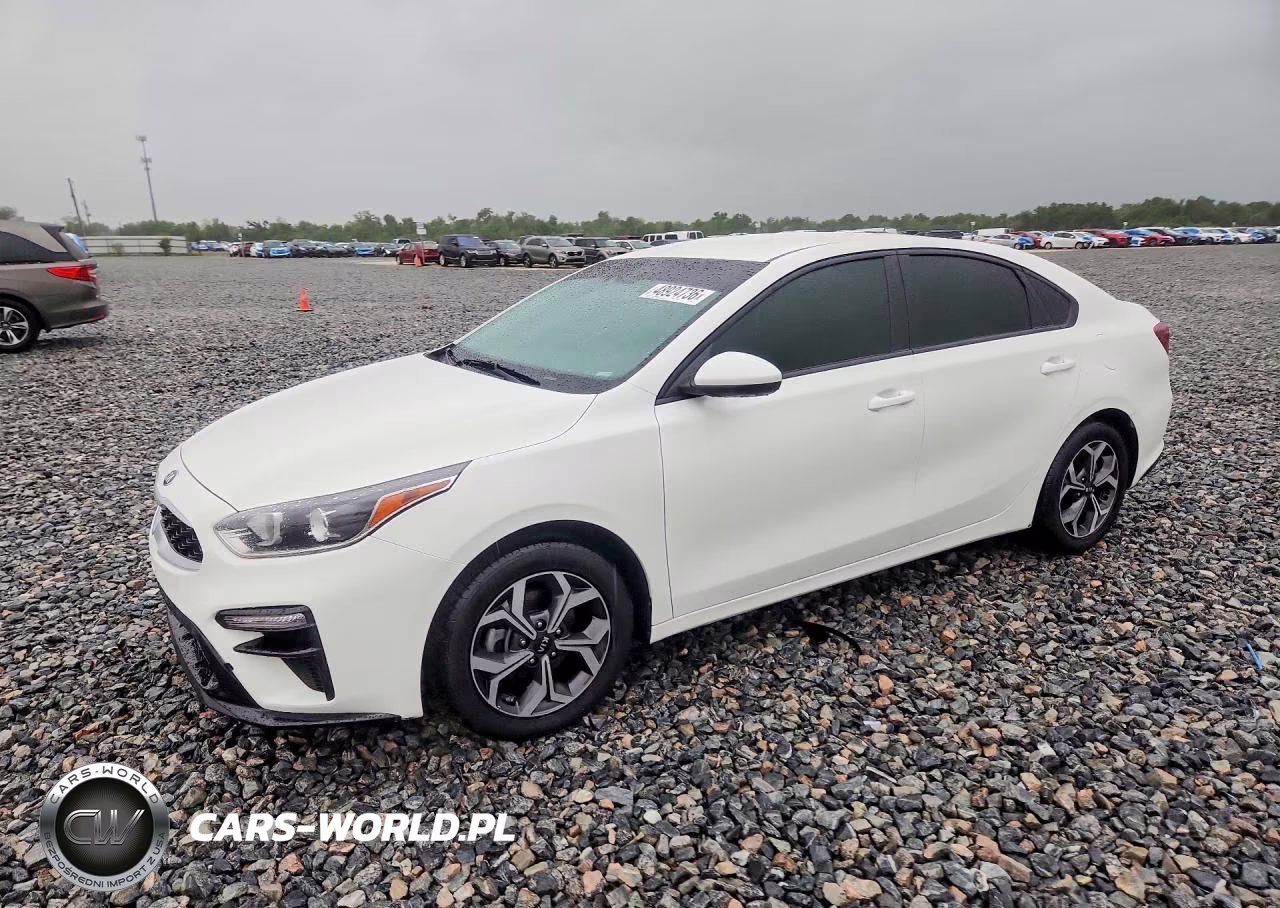 2019 Kia Forte Lxs