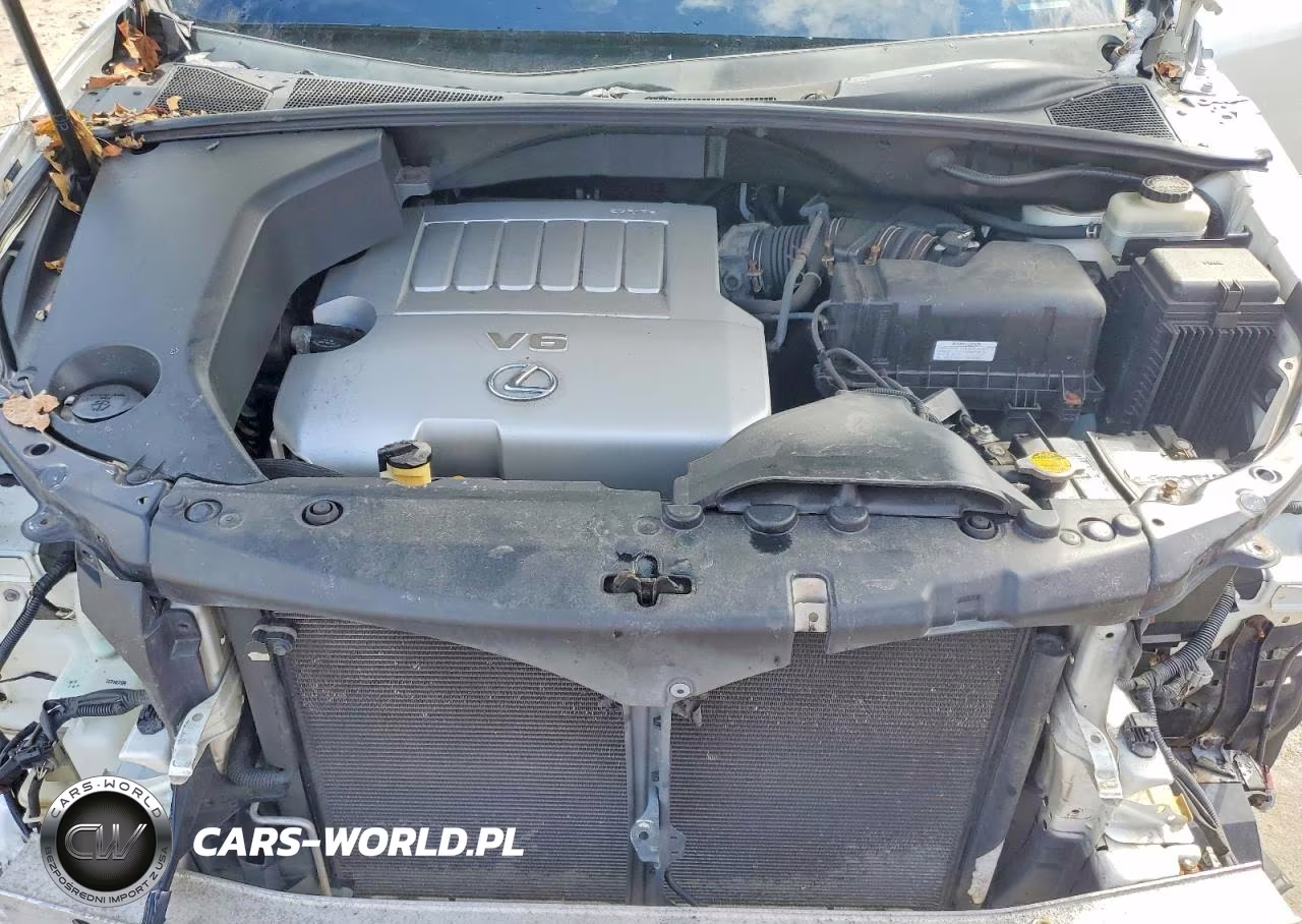 2007 Lexus Rx 350 Base VIN:2T2HK31U37C044098 - 12