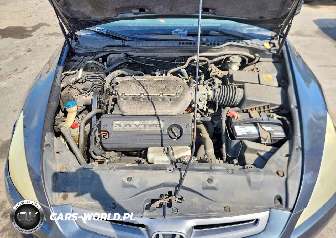 2004 Honda Accord Ex VIN:1HGCM66554A102421 - 11