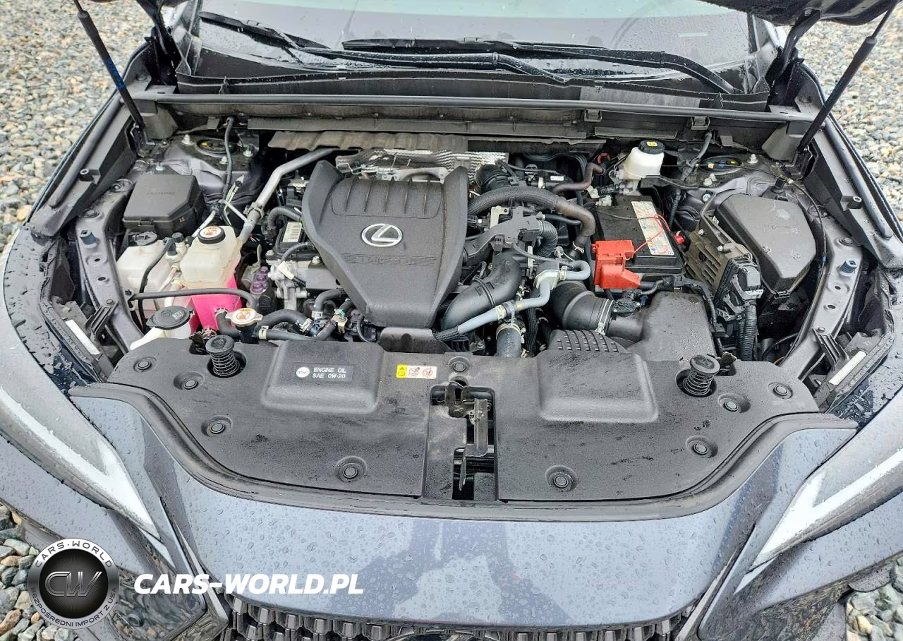 2022 Lexus Nx 350 Base VIN:JTJAGCEZ1N5002078 - 12