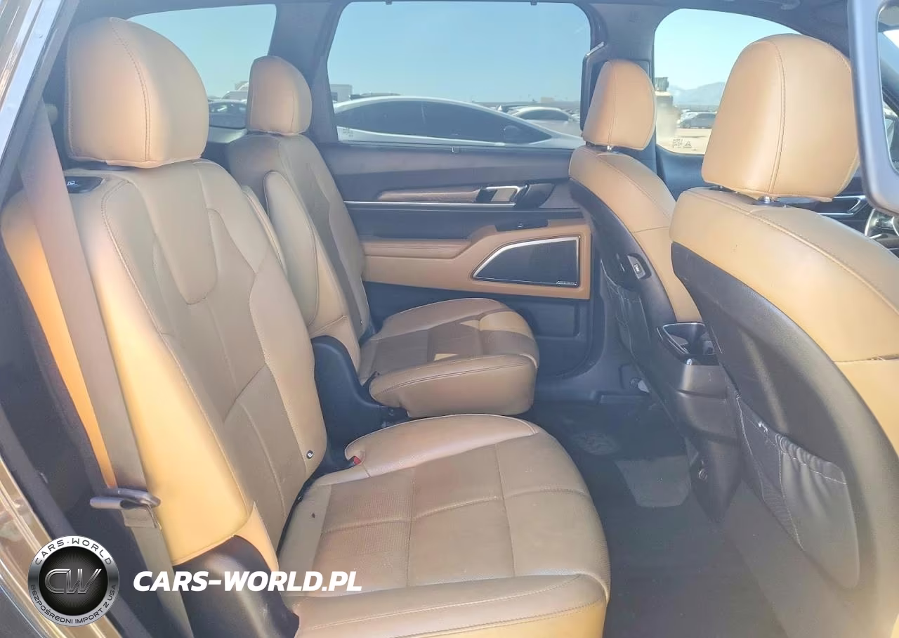 2020 Kia Telluride Sx VIN:5XYP54HC4LG039548 - 11
