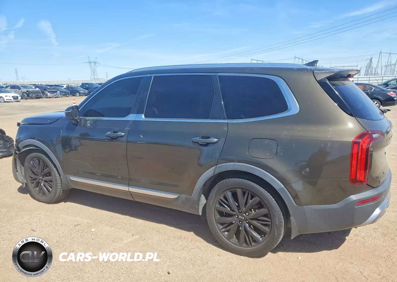 2020 Kia Telluride Sx VIN:5XYP54HC4LG039548 - 2
