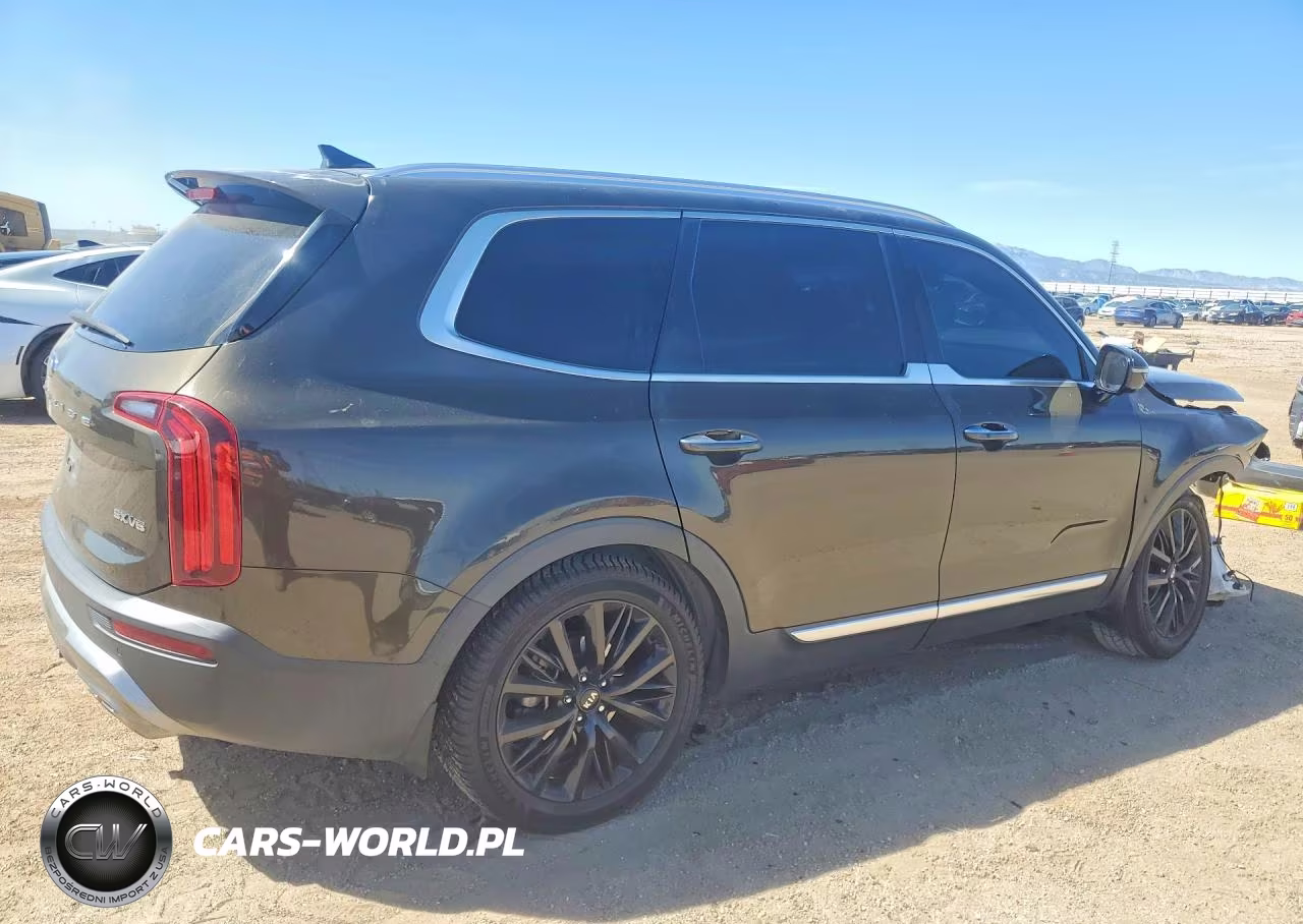 2020 Kia Telluride Sx VIN:5XYP54HC4LG039548 - 3