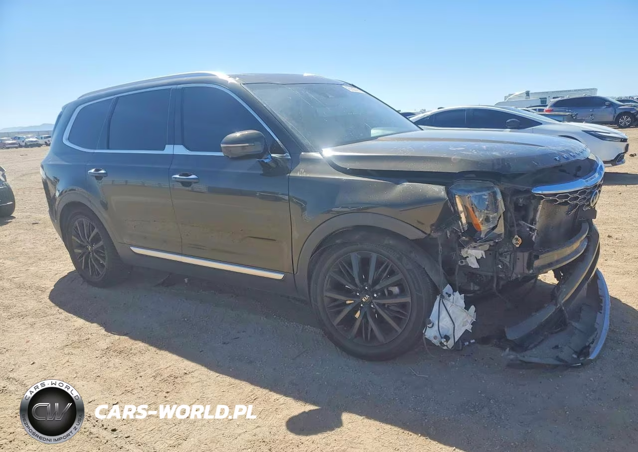 2020 Kia Telluride Sx VIN:5XYP54HC4LG039548 - 4