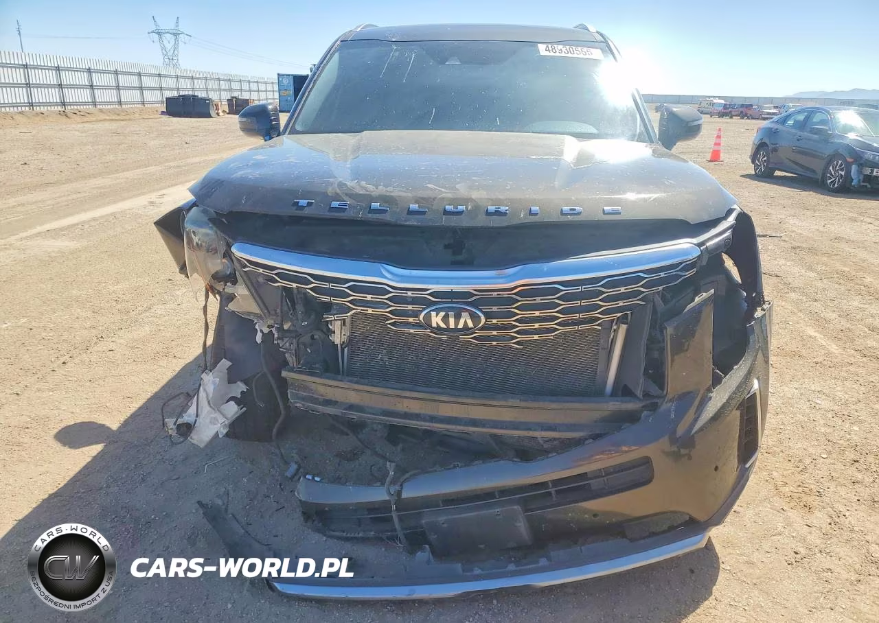 2020 Kia Telluride Sx VIN:5XYP54HC4LG039548 - 5