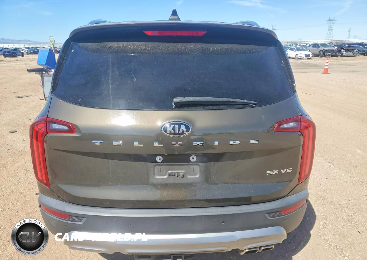 2020 Kia Telluride Sx VIN:5XYP54HC4LG039548 - 6