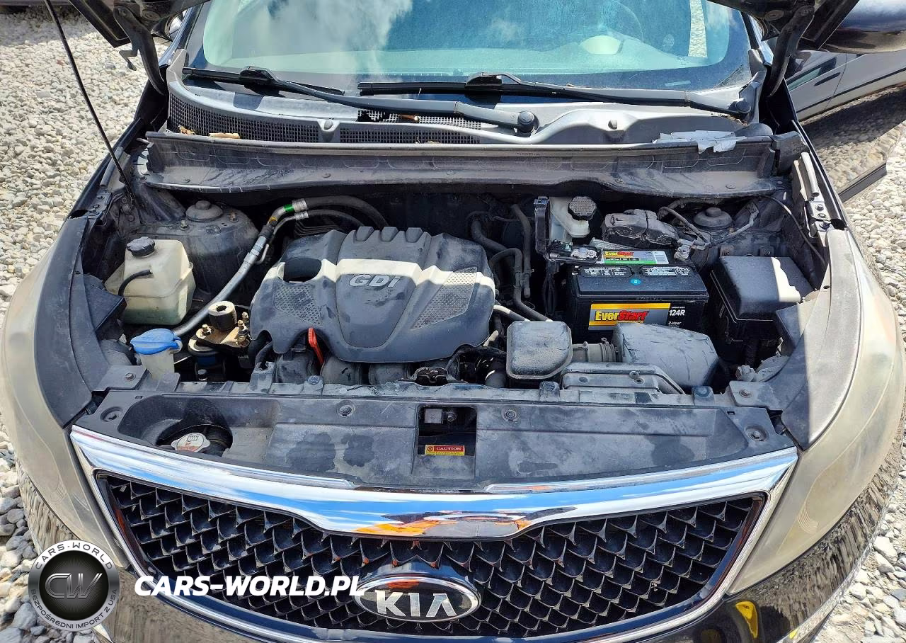2014 Kia Sportage Lx VIN:KNDPBCAC7E7556985 - 12