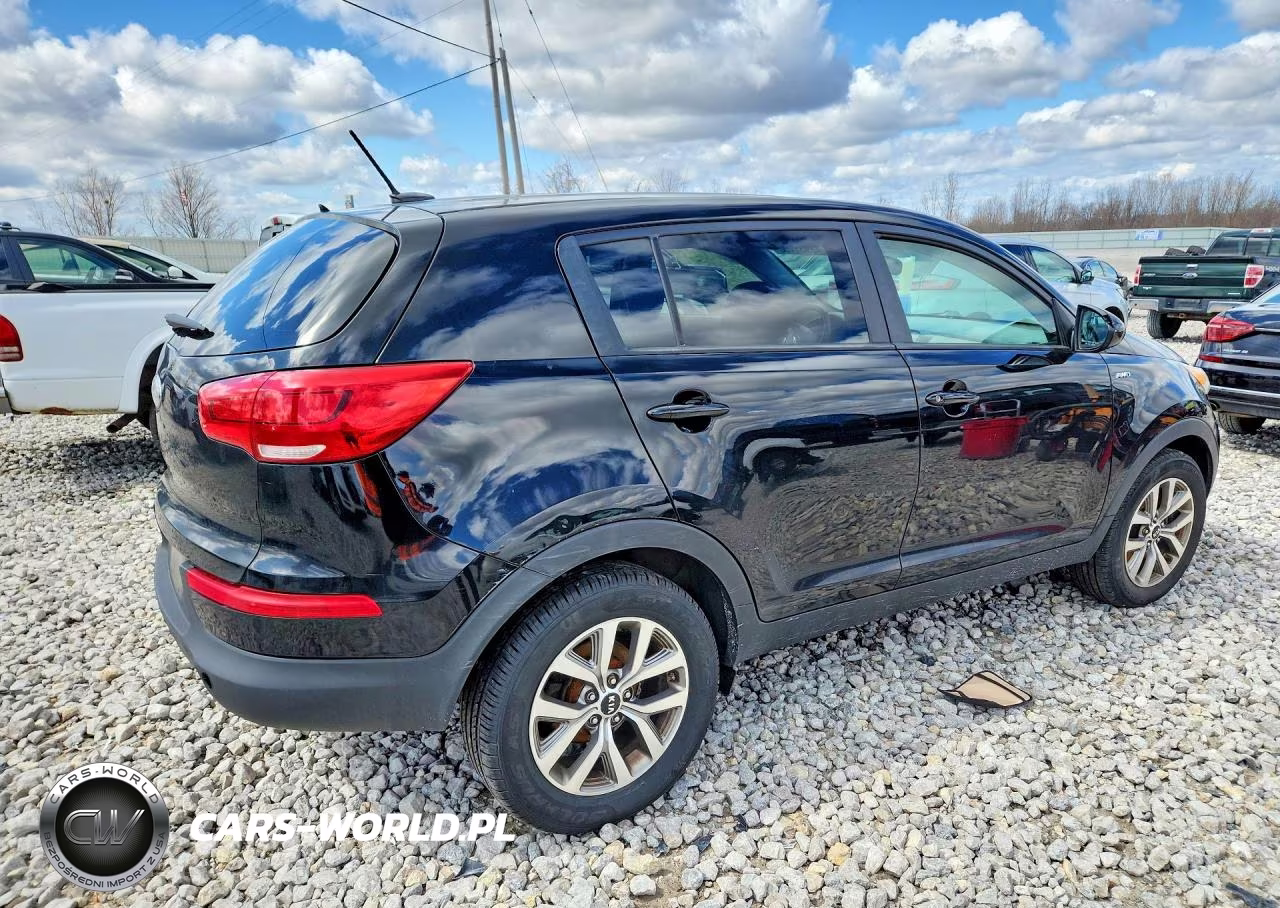 2014 Kia Sportage Lx VIN:KNDPBCAC7E7556985 - 3