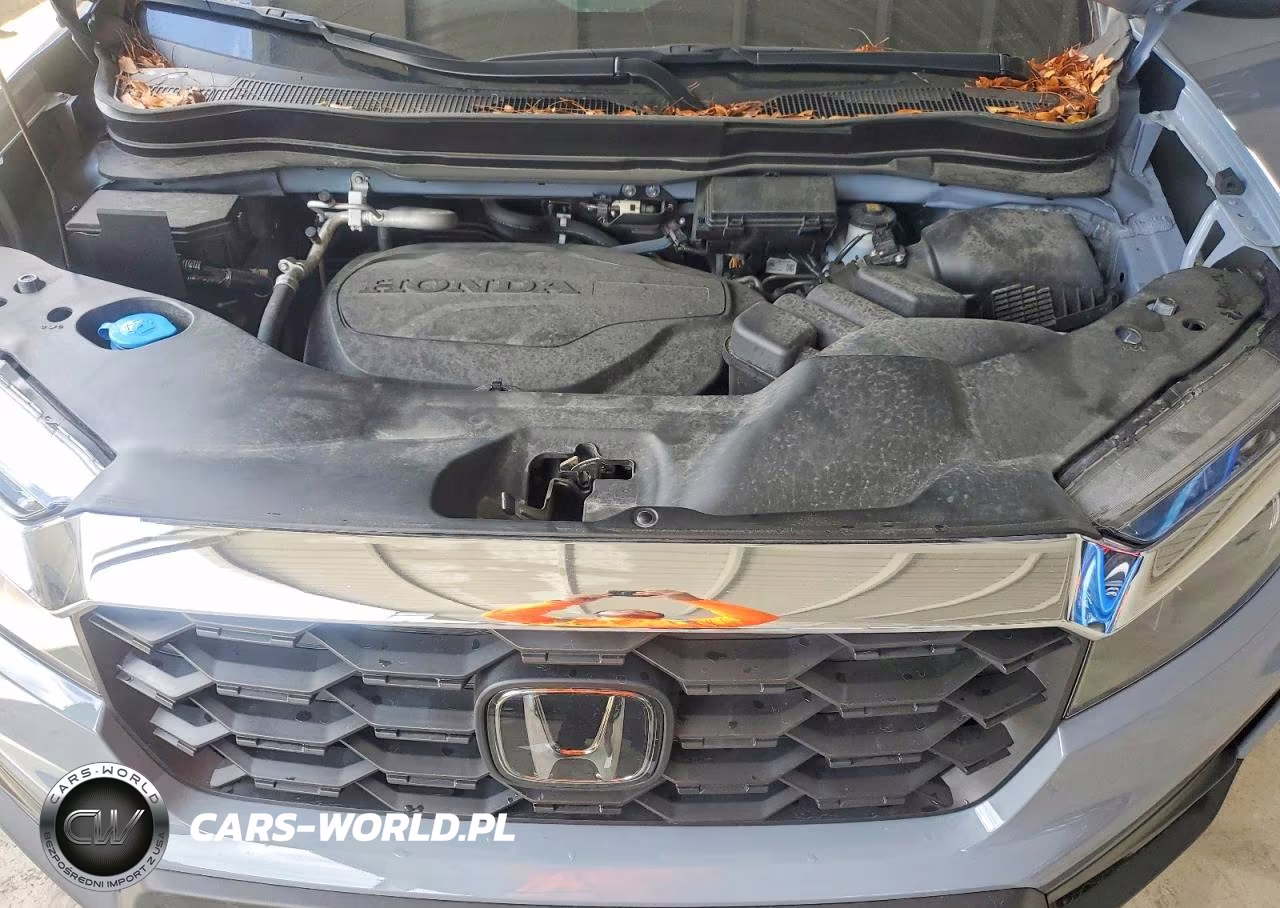 2025 Honda Passport VIN:5FNYF8H54SB012625 - 12