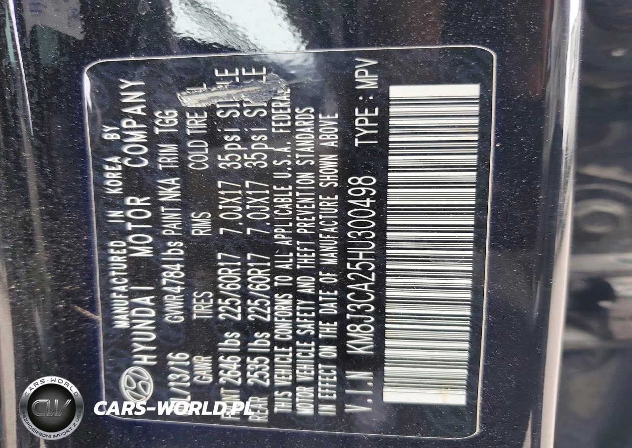 2017 Hyundai Tucson Eco VIN:KM8J3CA25HU300498 - 13