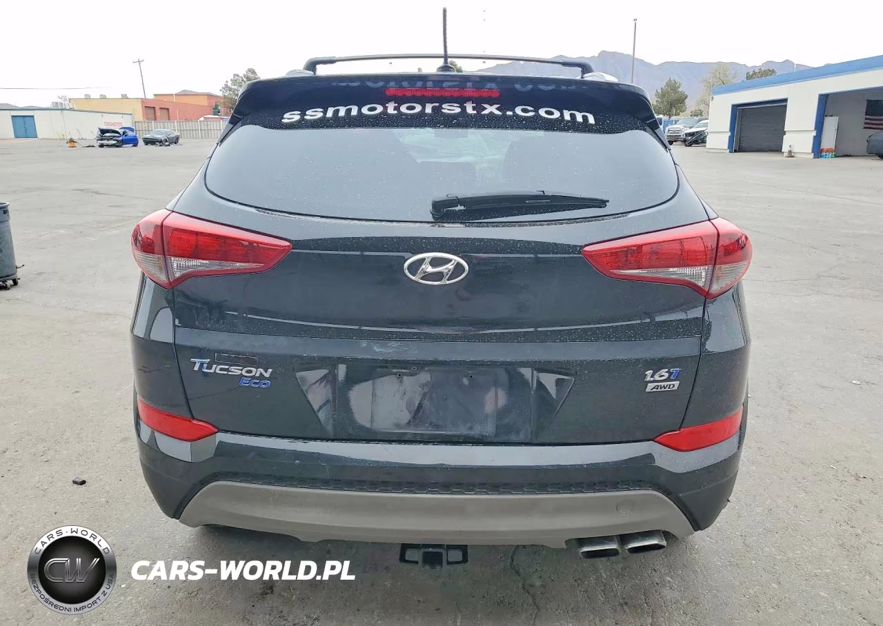 2017 Hyundai Tucson Eco VIN:KM8J3CA25HU300498 - 6